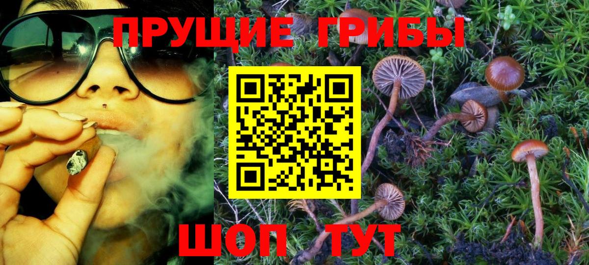 Галлюциногенные грибы Cubensis  Вход с VPN  Чебаркуль 