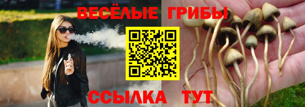 Галлюциногенные грибы Psilocybe Чебаркуль